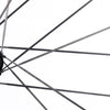 ICAN Aeris 40 disc carbone spoke wheelset 45T ratchet TRIAERO