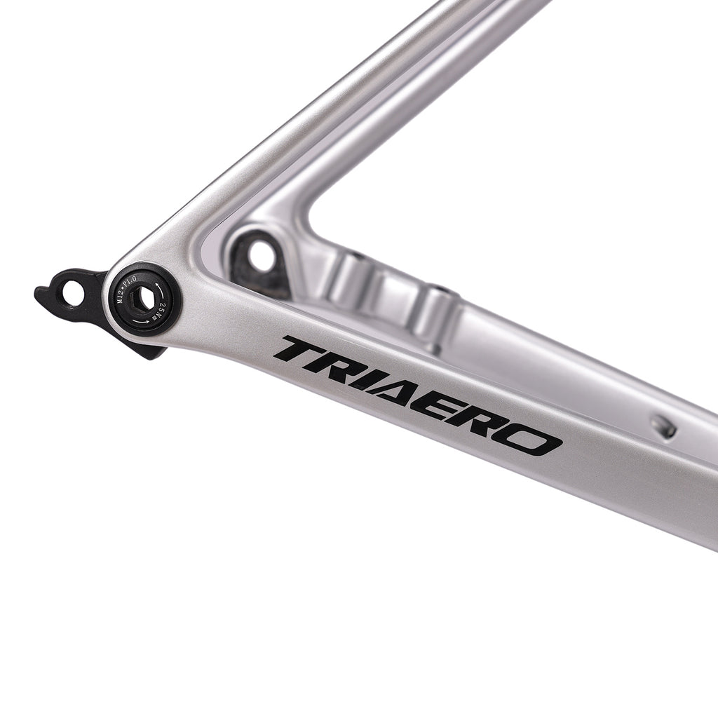 ICAN Flyee Lightweight Carbon Road Bike Frame UCI Approval TRIAERO