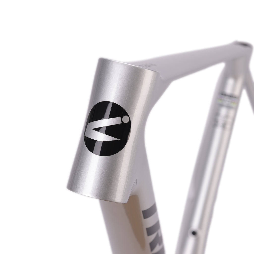 ICAN Flyee Lightweight Carbon Road Bike Frame UCI Approval TRIAERO